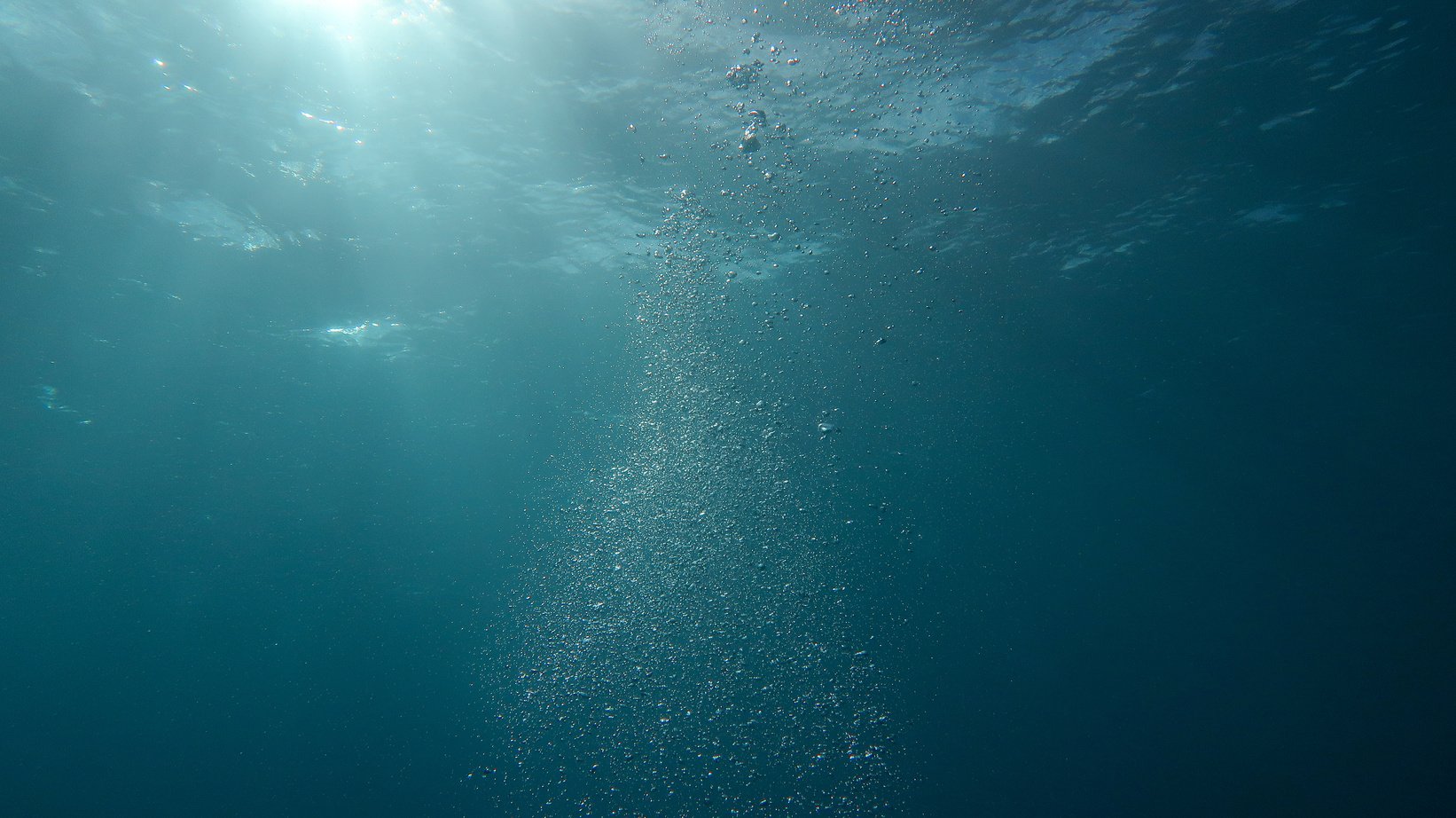 Photo of Bubbles Underwater